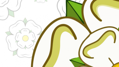 ICETON AND BROWN SELECTED FOR YORKSHIRE SQUAD